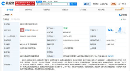 温州市交通运输集团牵头成立低空规划公司，注册资本300万推动咨询策划服务