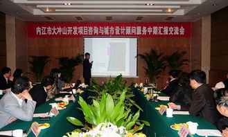 东兴区大冲山开发项目中期汇报交流会 专业设计服务赋能城市未来